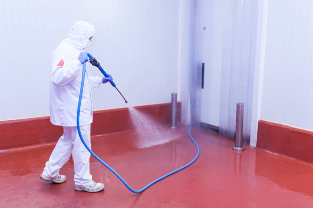 Best Concrete Surface Cleaning in Mills, WY